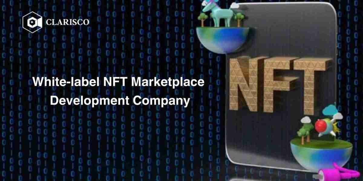 Why White-Label NFT Marketplaces Are the Next Big Thing in Crypto