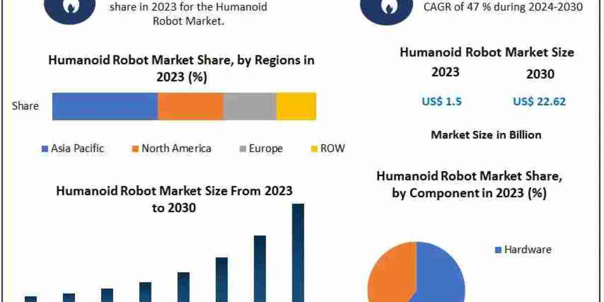 Humanoid Robot Market to Make Great Impact in near Future by 2024 -2030