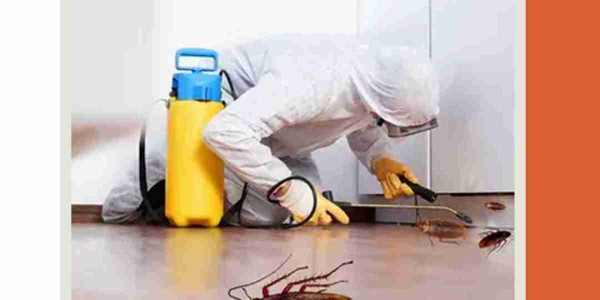 Effective Pest Control in Chennai Near Me: Pest Out Services Offers the Best Solutions