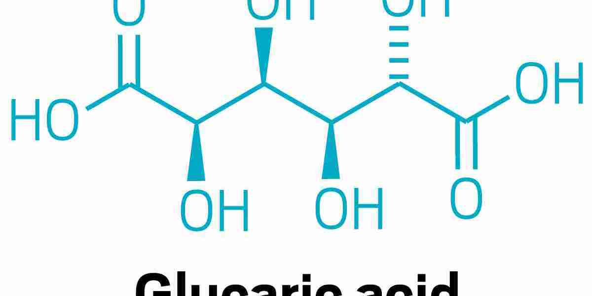 Glucaric Acid Market Size, Share, Growth, Opportunities and Global Forecast to 2032