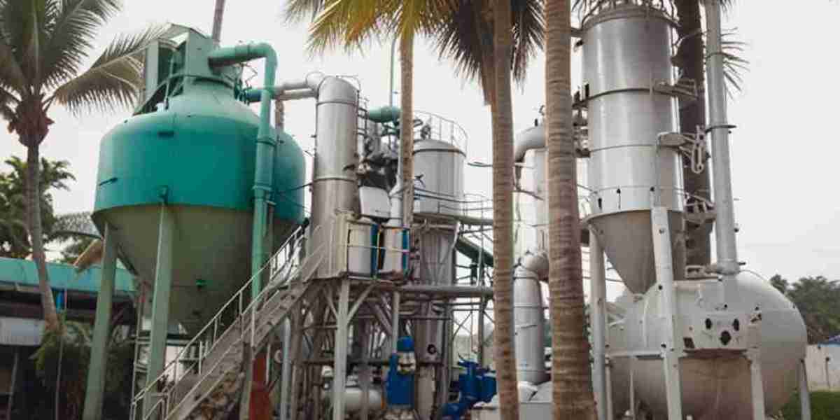 Coconut Powder Manufacturing Plant Report 2024: Project Details, Machinery Requirements and Cost Involved