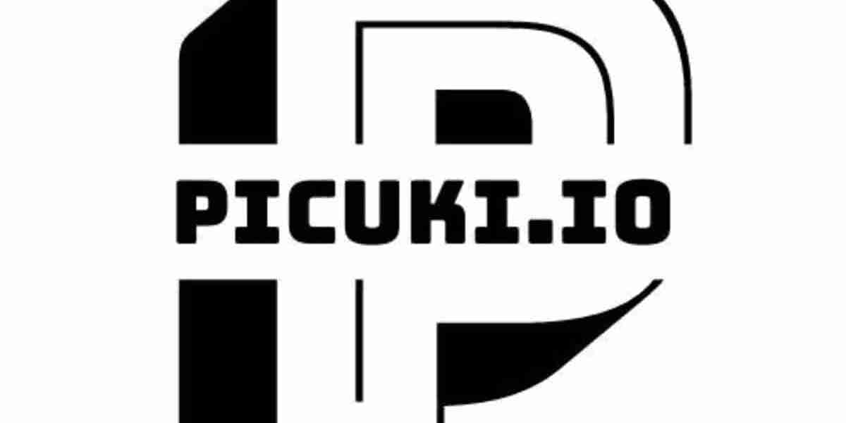 Picuki: A Platform Navigating the Intersection of Access and Intellectual Property