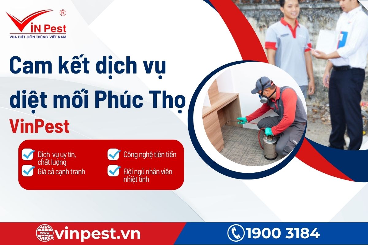 Dịch vụ diệt mối Phúc Thọ hiệu quả - VinPest