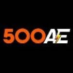 500ae art