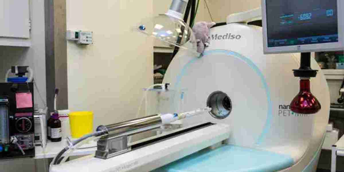 Micro-Magnetic Resonance Imaging Market Getting Back To Stellar High-Yielding Opportunity