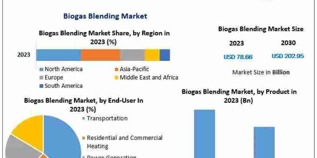 Biogas Blending Market Size, Share And Growth