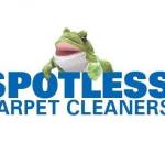 Sportless Carpet Cleaners