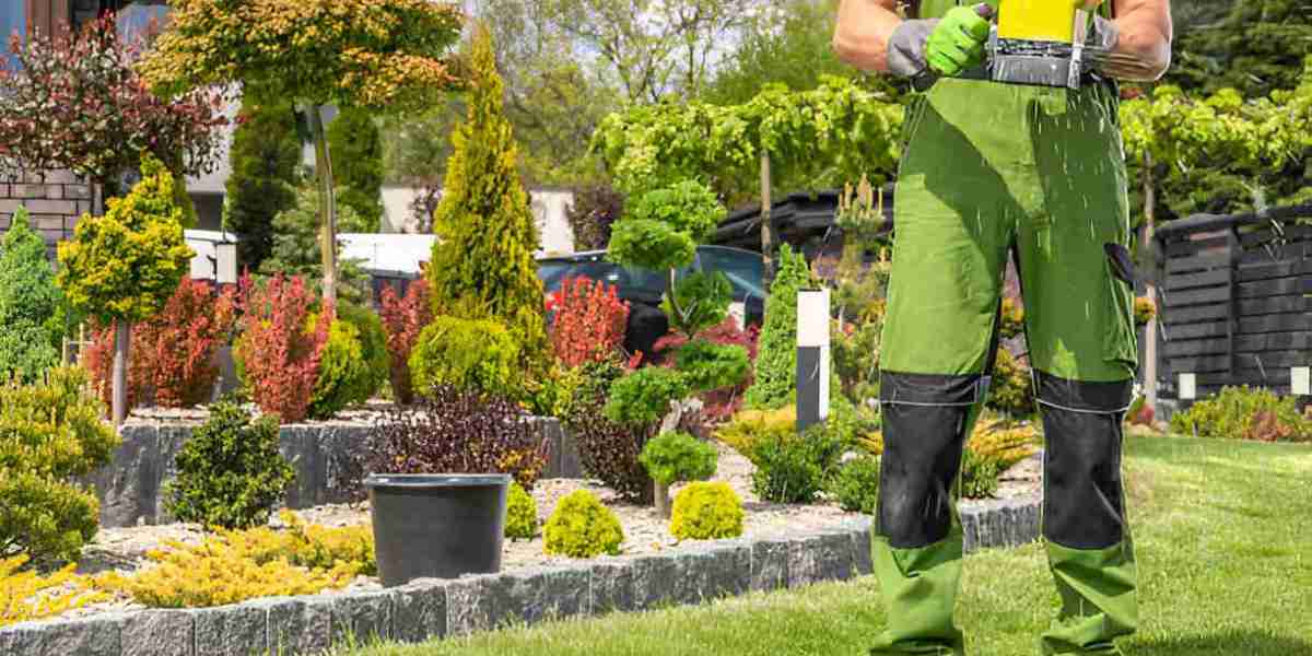 Greener Gardens- The Ultimate Guide to Lawn Fertilizing Services in Calgary