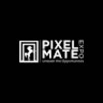 pixelmateexpo