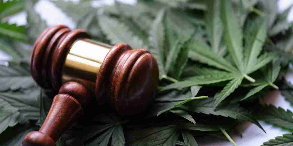 Legal Cannabis Market Tipped for Strong Growth Track