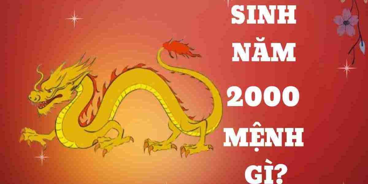 Tuổi Tân Tỵ sinh năm 2001 mệnh gì, cung gì, tuổi con gì?