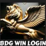 bdgwin login