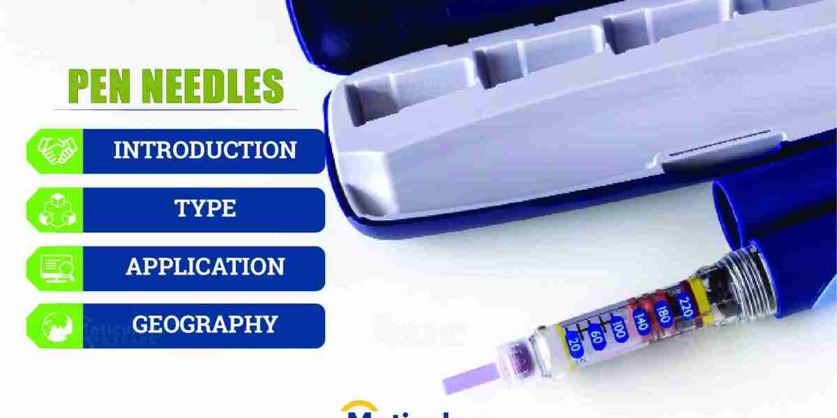 Future of Pen Needles: Market Segmentation, Challenges, and Regional Analysis Through 2031