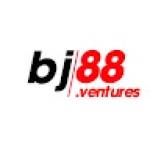 bj88ventures