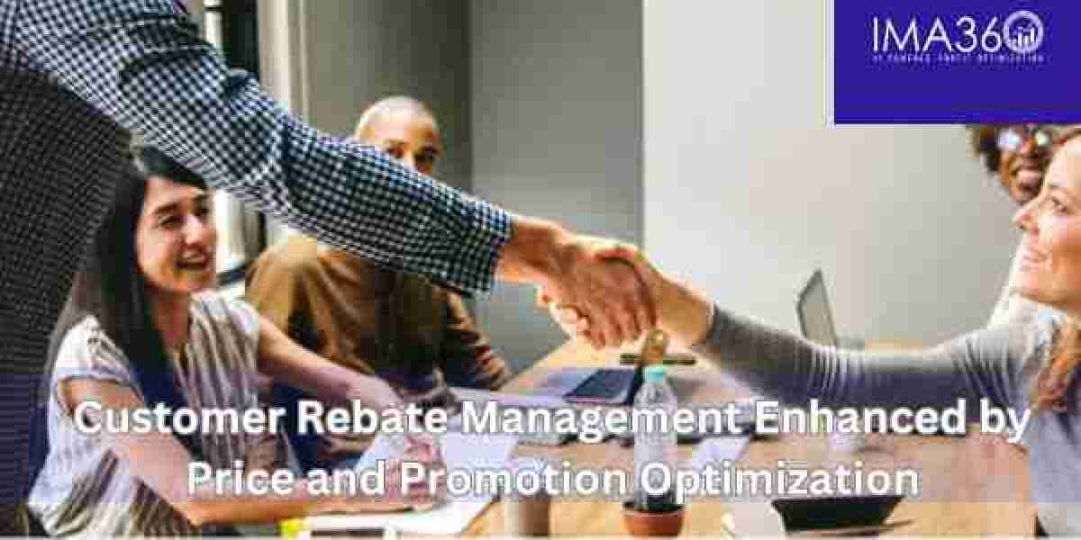 Customer Rebate Management Enhanced by Price and Promotion Optimization