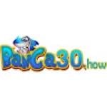 Banca30 how