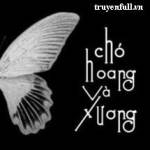 Chó hoang và xương