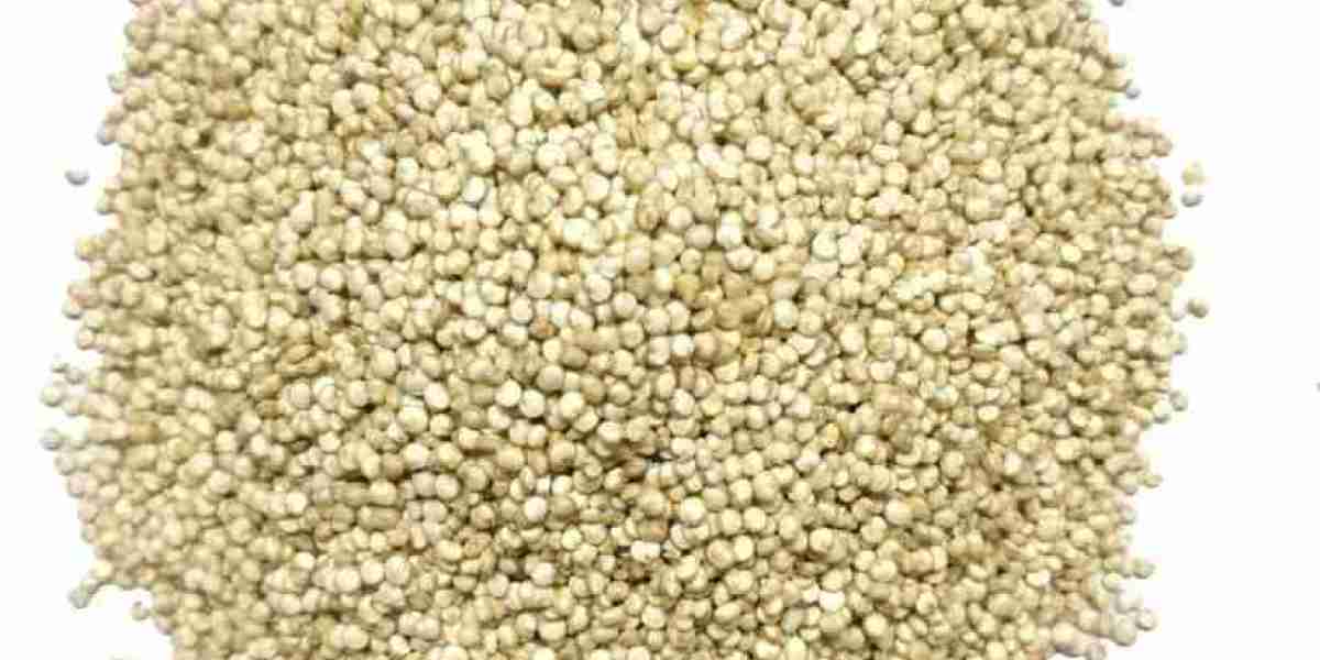 Quinoa Seeds Manufacturers & Exporters - Apexherbex