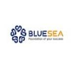 Du Học Mỹ TPHCM Bluesea