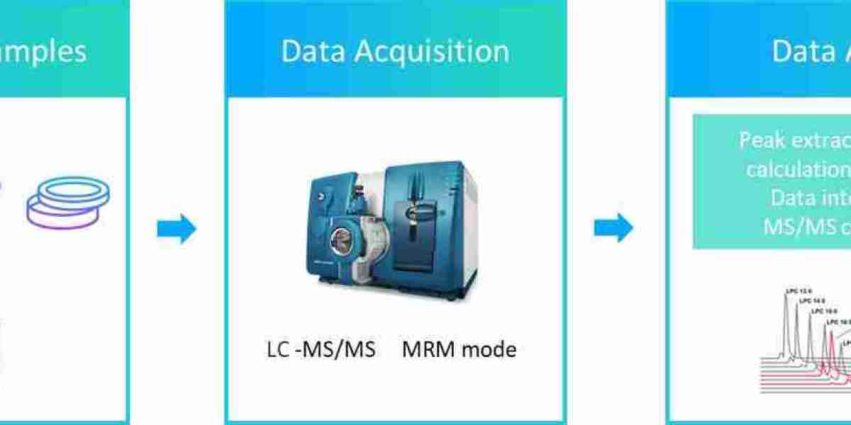 Detection of Intracellular Ceramide