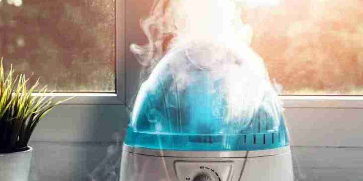 Humidifier Market Getting Back To Stellar High-Yielding Opportunity