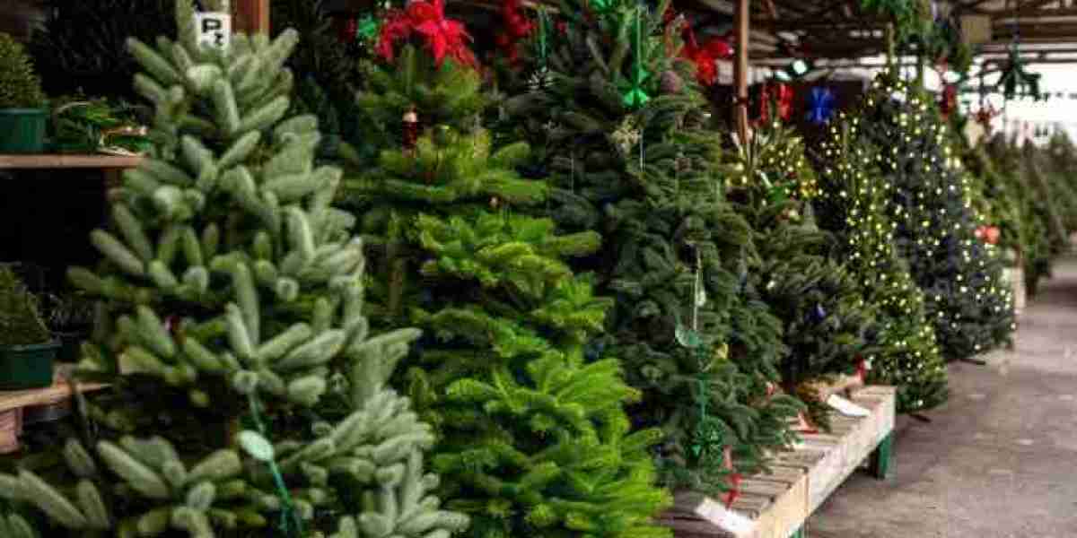 Why Real Christmas Trees for Sale Are the Perfect Holiday Choice