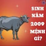 sinh2009 menhgi