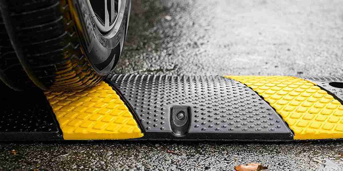 The Impact of Speed Bumps on Road Safety and Community Well-being