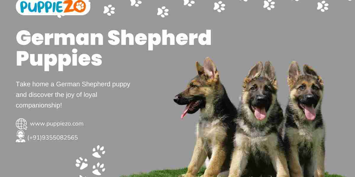German Shepherd Price in India: A Comprehensive Guide