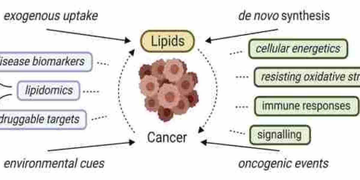 Lipidomics and Cancer Research