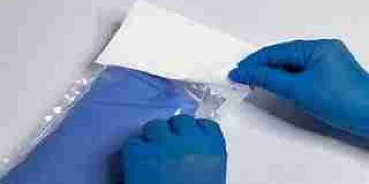 Cleanroom Film And Bags Market Insights, Status And Forecast to 2030