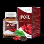 LIPOFIL VN Profile Picture