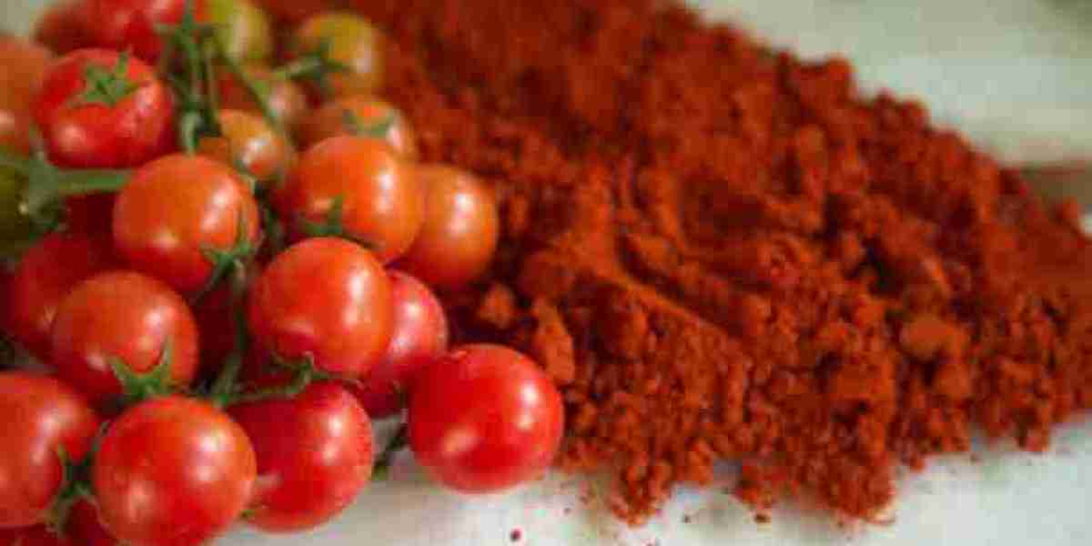 Tomato Powder Market: Investment, Key Drivers, Gross Margin, and Forecast 2032