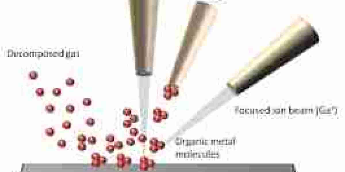 Focused Ion Beam Market To Witness Huge Growth By 2032