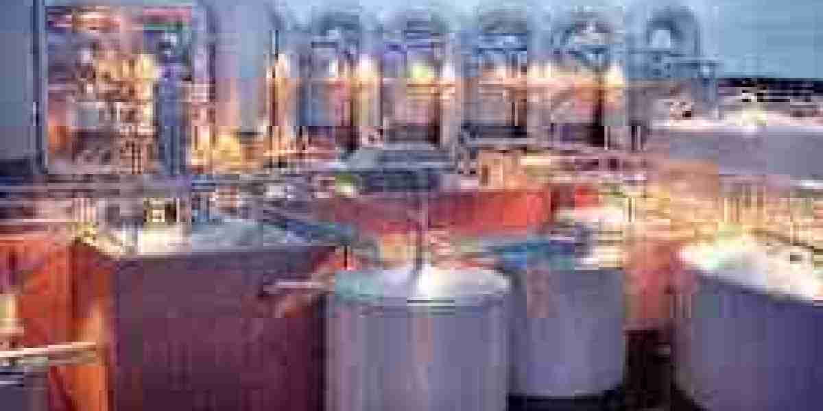 Petrochemicals Market Segments 2024-2033 | Size, Share And Insights