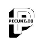 picuki io