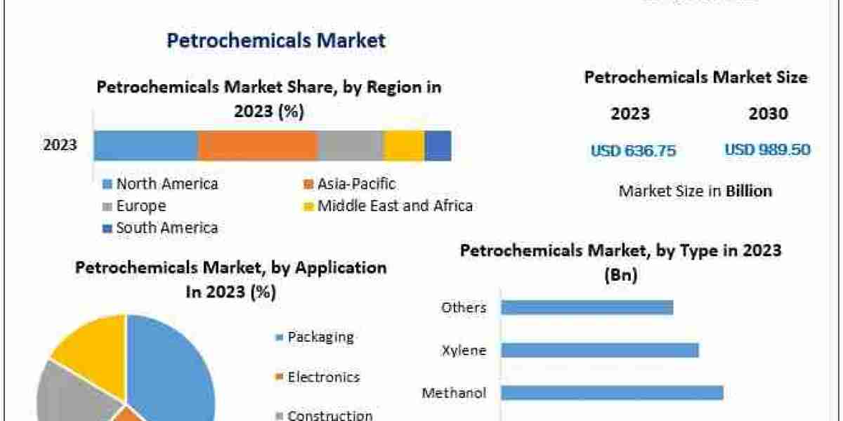 Petrochemicals Market Future Frontiers: Market Size, Share, and Trends in 2024-2030