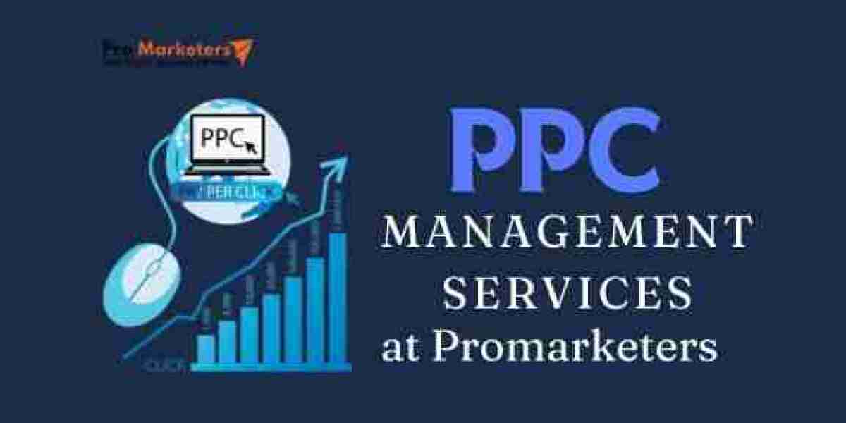 PPC Management Services at Promarketers