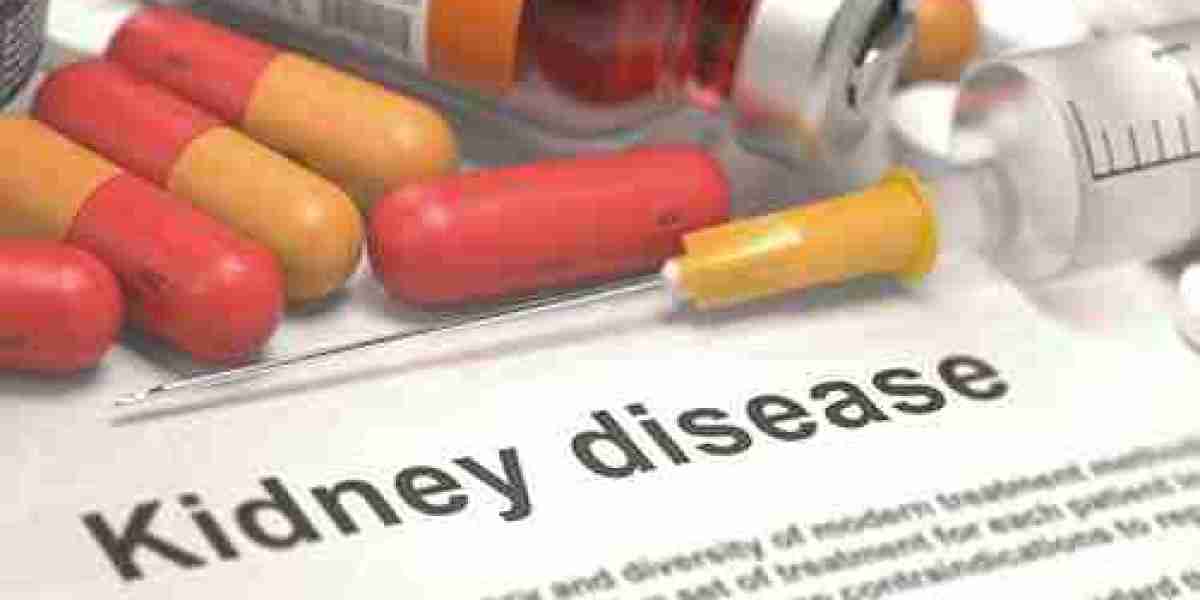 Chronic Kidney Disease (CKD) Drugs Market Size, Share, Growth, Opportunities and Global Forecast to 2032