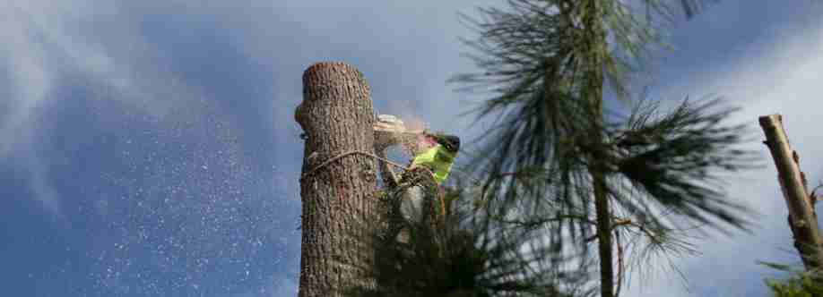 Jordans Tree Services