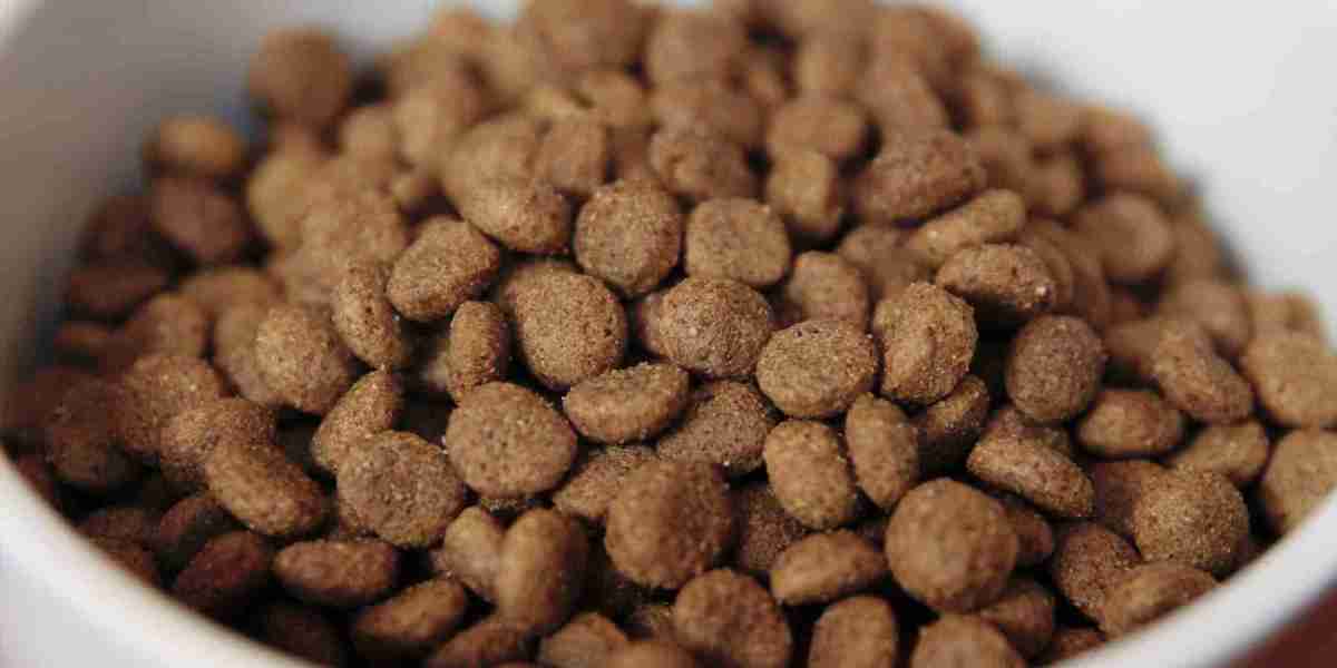 High-Protein Dry Dog Food: A Solution for Weight Management