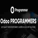 Odoo Programmer