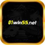 01win55 net