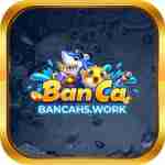 bancah 5work