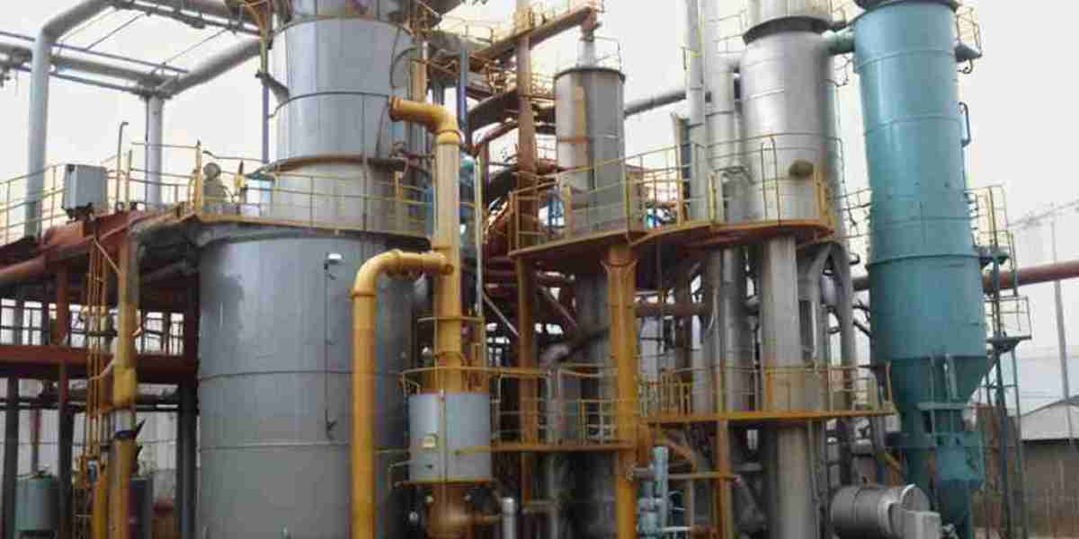 Elemi Oil Processing Plant Project Report 2024: Setup Cost, Machinery Requirements and Raw Materials