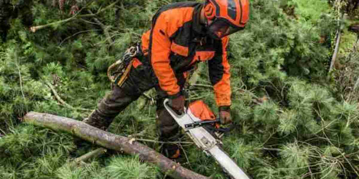 Tree Surgeons Hertfordshire North London