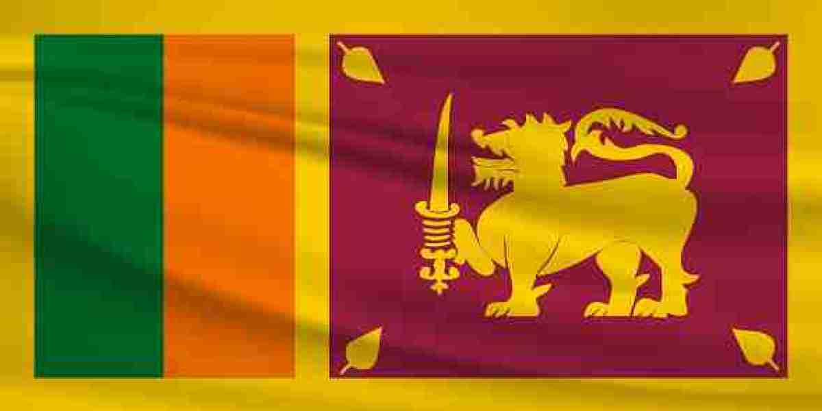 Simplifying Visa Applications: The Sri Lanka Embassy  Delhi