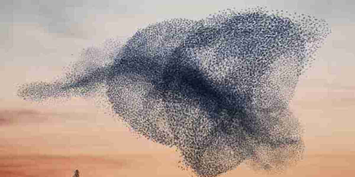 Swarm Intelligence Market Is Booming Worldwide