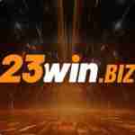 23winbiz