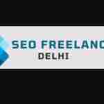 SEO Freelancer In Delhi